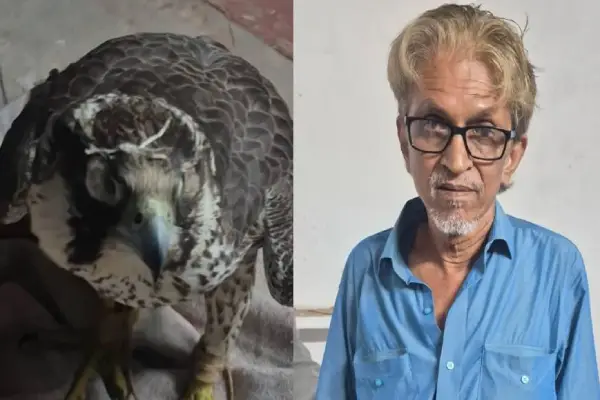 Lucknow News: 14 करोड़ के दुर्लभ बाज के साथ तस्कर गिरफ्तार, दुबई और खाड़ी देशों तक फैला था नेटवर्क